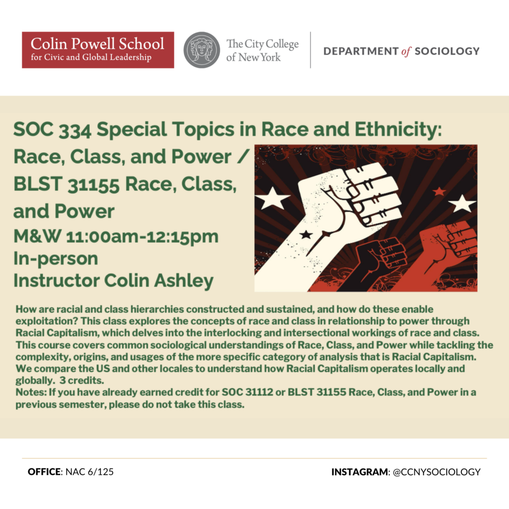 SOC 334 Special Topics in Race and Ethnicity: Race, Class, and Power / BLST 31155 Race, Class, and Power